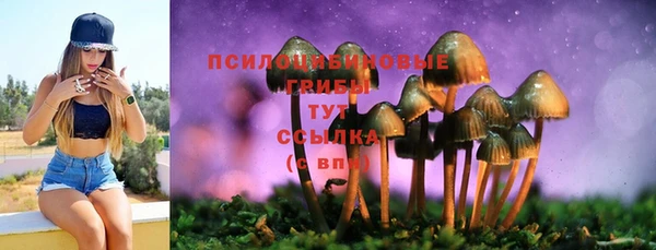 амф Навашино