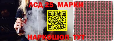 PSILOCYBIN Гатчина