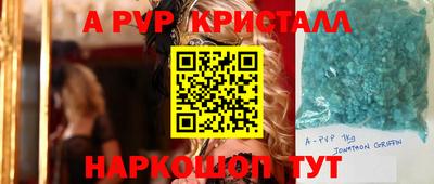 PSILOCYBIN Гатчина