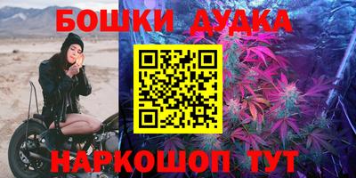 PSILOCYBIN Гатчина