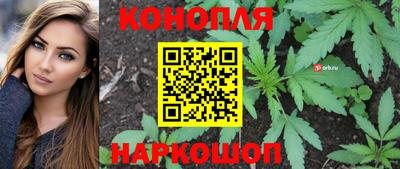 PSILOCYBIN Гатчина