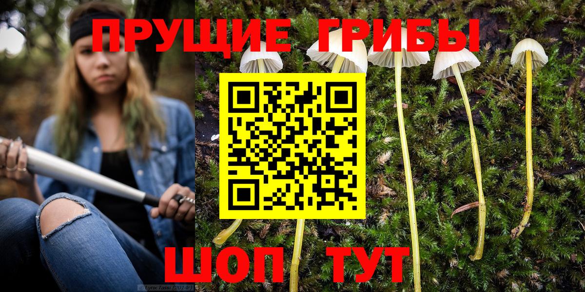 Галлюциногенные грибы GOLDEN TEACHER  закладки  Зеленокумск 