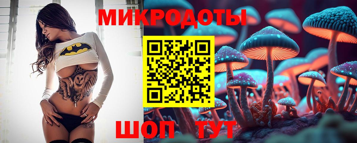 Зеленокумск  Галлюциногенные грибы Psilocybine cubensis  Вход с VPN  Псилоцибиновые грибы мухоморы 