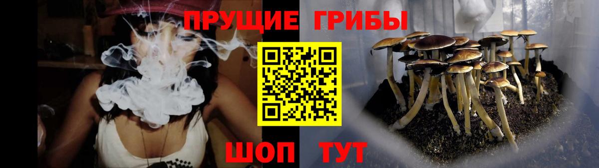 Псилоцибиновые грибы мухоморы Зеленокумск