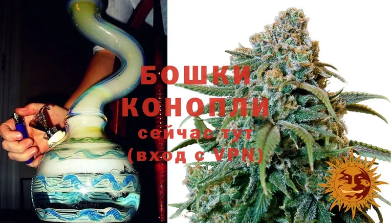 Бошки марихуана THC 21%  купить наркотики сайты  Зеленокумск 